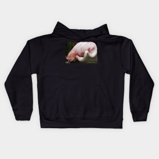 Greater Flamingo Preening #3 Kids Hoodie